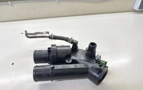 Thermostat/thermostat housing