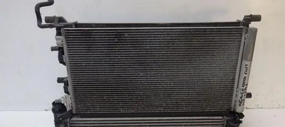 Renault Megane III Radiator set 921000294R