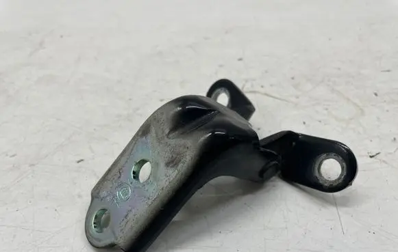 KIA Niro Front door lower hinge 