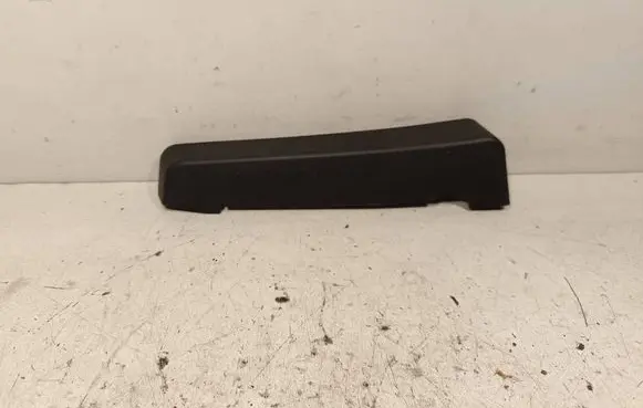 Rear/tail light trim molding