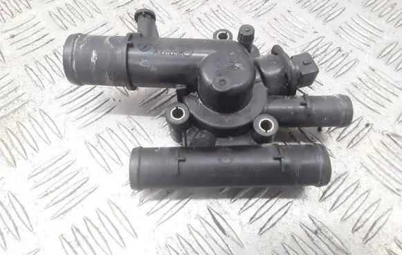 Thermostat/thermostat housing