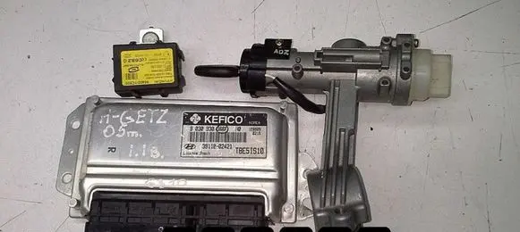 Hyundai Getz Engine control unit/module 3911002421