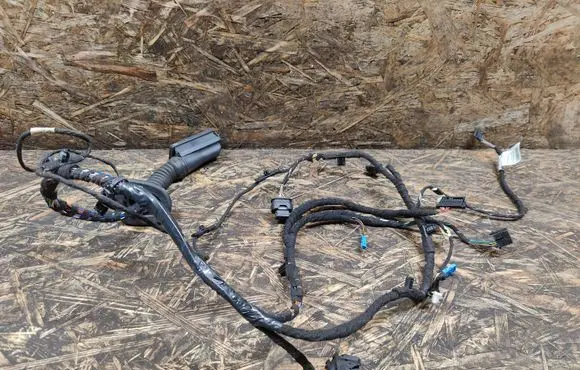 BMW 2 F46 Front door wiring loom 9384577