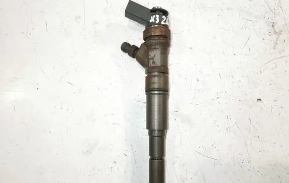 BMW X3 E83 Fuel injector 7793836 0445110216