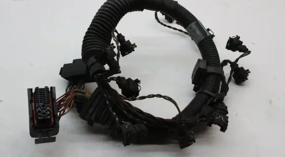 BMW 7 E65 E66 Fuel injector wires 7524030