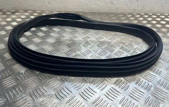 Dacia Sandero III Rubber seal rear door 