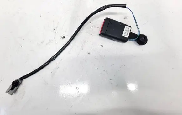 Tesla Model S Middle seatbelt buckle (rear) 101879100A