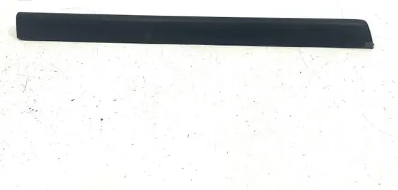 Rear door trim (molding)