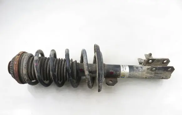 Opel Zafira B Front shock absorber with coil spring 22141606