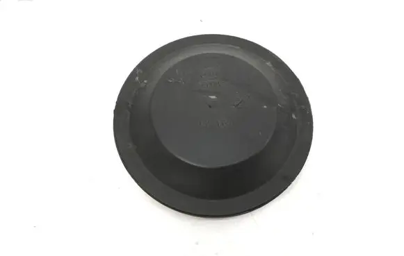 Nissan Qashqai Headlight/headlamp dust cover 155665