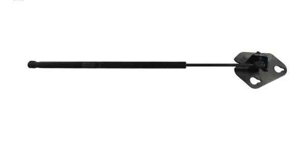 Tailgate/trunk strut/damper