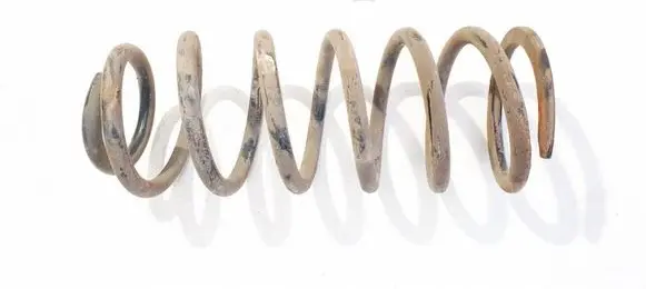Rear coil spring