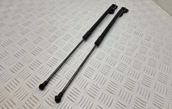 Renault Scenic IV - Grand scenic IV Tailgate strut 904502954R 904506721R 6051790510N