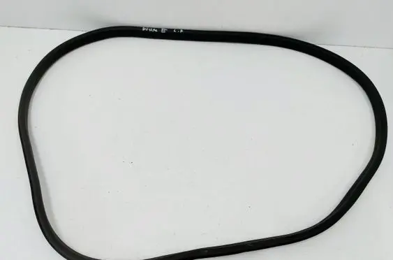 Dacia Duster III Front door rubber seal