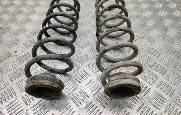 Skoda Roomster (5J) Rear coil spring