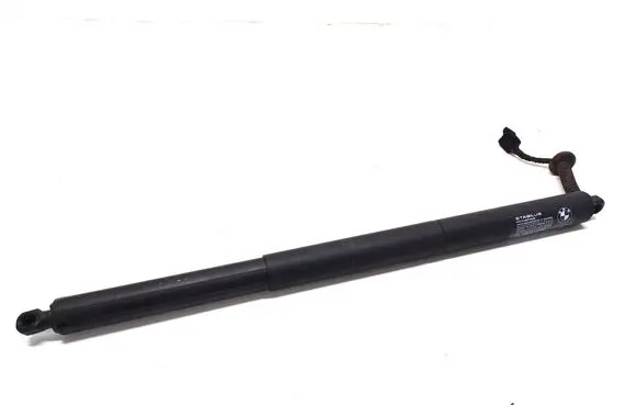 Tailgate strut