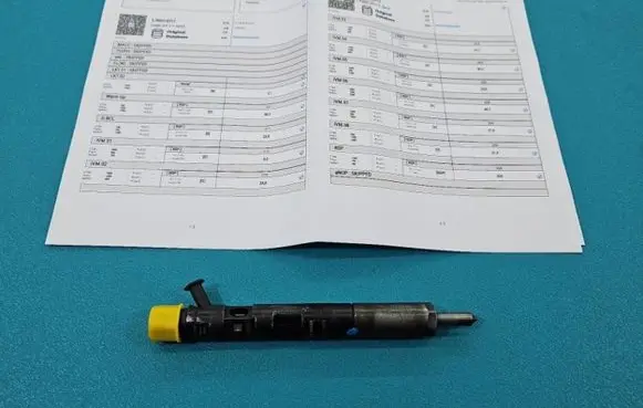 Renault Megane II Fuel injector EJBR01801Z IMPRK1439400