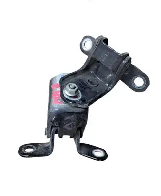 Ford Fiesta Rear door hinge set 
