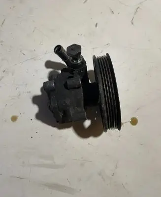 Volkswagen PASSAT B5.5 Power steering pump