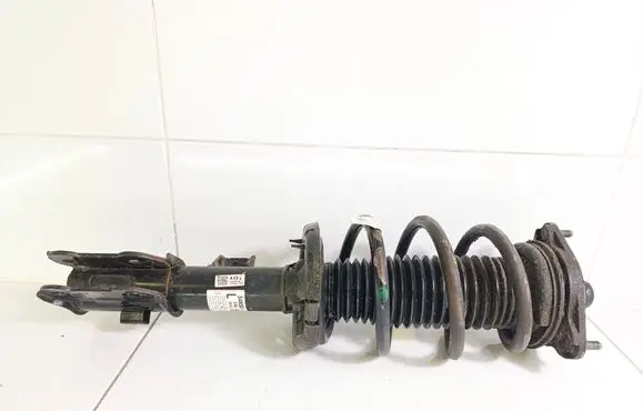 Front shock absorber with coil spring
