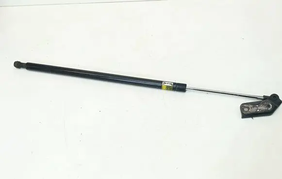 Tailgate strut