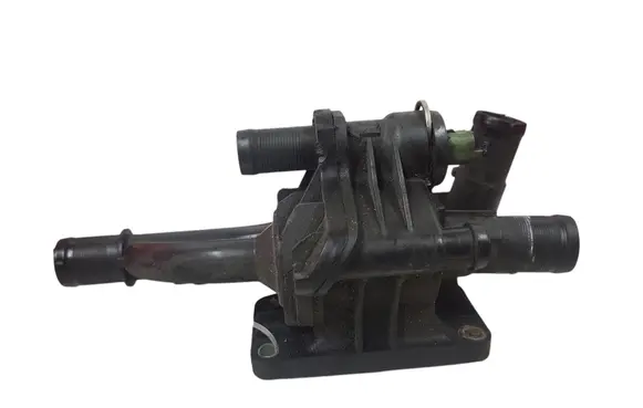 Thermostat/thermostat housing