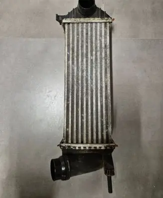 Mercedes-Benz Citan W415 Intercooler radiator 144963234R Y5665004 0108883