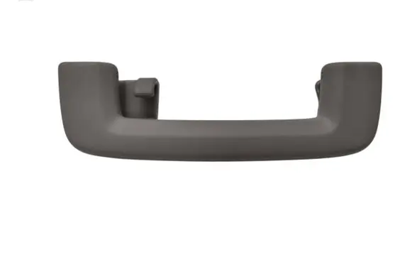 Ford Focus C-MAX Rear interior roof grab handle