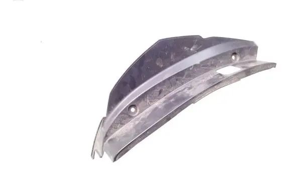 Rear/tail light trim molding
