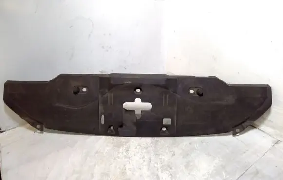Engine bonnet/hood lock trim molding