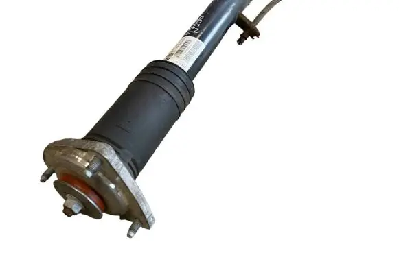 BMW X5 E70 Rear shock absorber/damper 6782878 33526782878