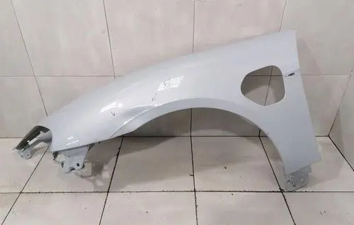 Porsche Taycan 9J1 Fender 9J1821101AY