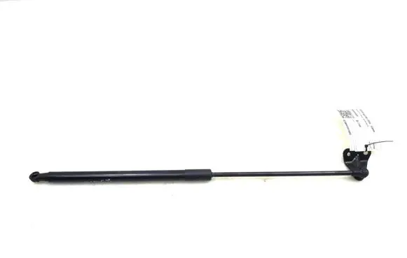 Toyota C-HR I Tailgate strut 68950F4050