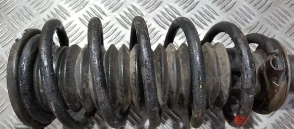 Peugeot 407 Front coil spring