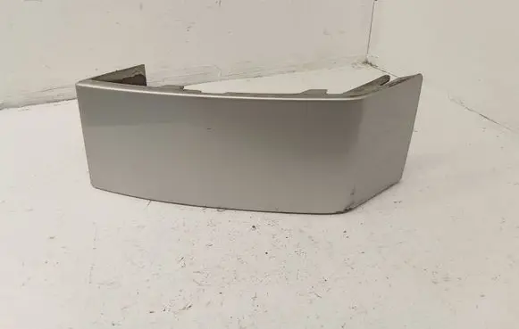 Rear/tail light trim molding