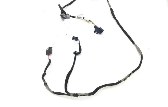 Chrysler Pacifica Other wiring loom 68352763AA ECJ9219