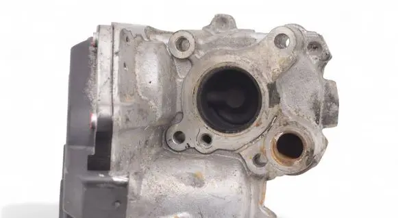 EGR valve