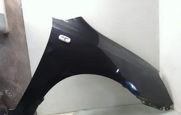 KIA Carens I Fender