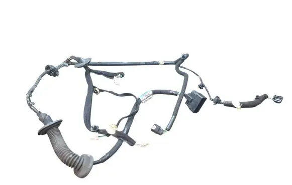 Renault Trafic III (X82) Front door wiring loom 241252495R