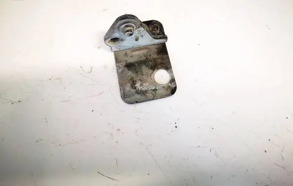Audi A4 S4 B7 8E 8H Rear door lower hinge