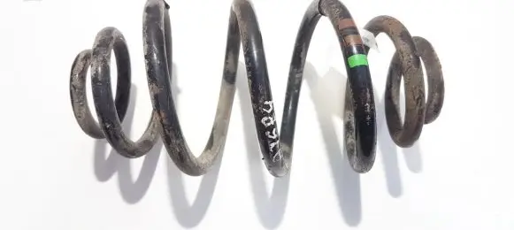 Volkswagen PASSAT B5.5 Rear coil spring