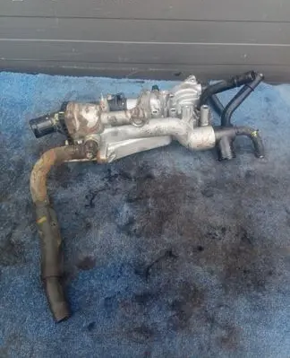 Thermostat/thermostat housing