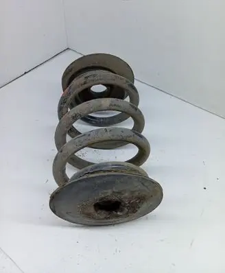 Rear coil spring