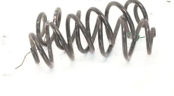 Rear coil spring