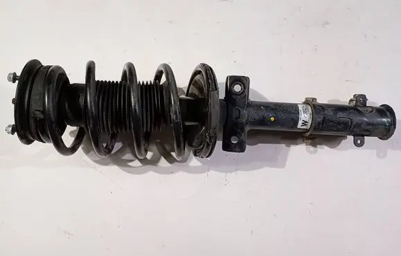 Ford Mustang V Front shock absorber with coil spring 7R3318045BA