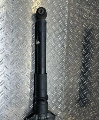 Citroen C4 III e-C4 Rear shock absorber/damper 9841379480
