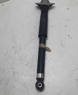 Volkswagen PASSAT B7 USA Rear shock absorber/damper 814902005171