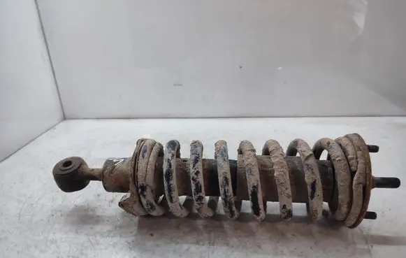 Front shock absorber with coil spring
