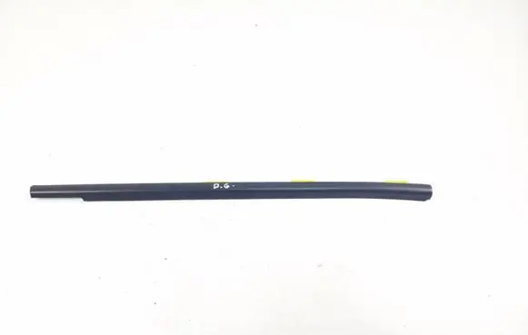 Hyundai Santa Fe Rubber seal rear door window/glass 