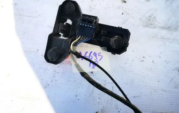 Renault Scenic I Tail light bulb cover holder 5831